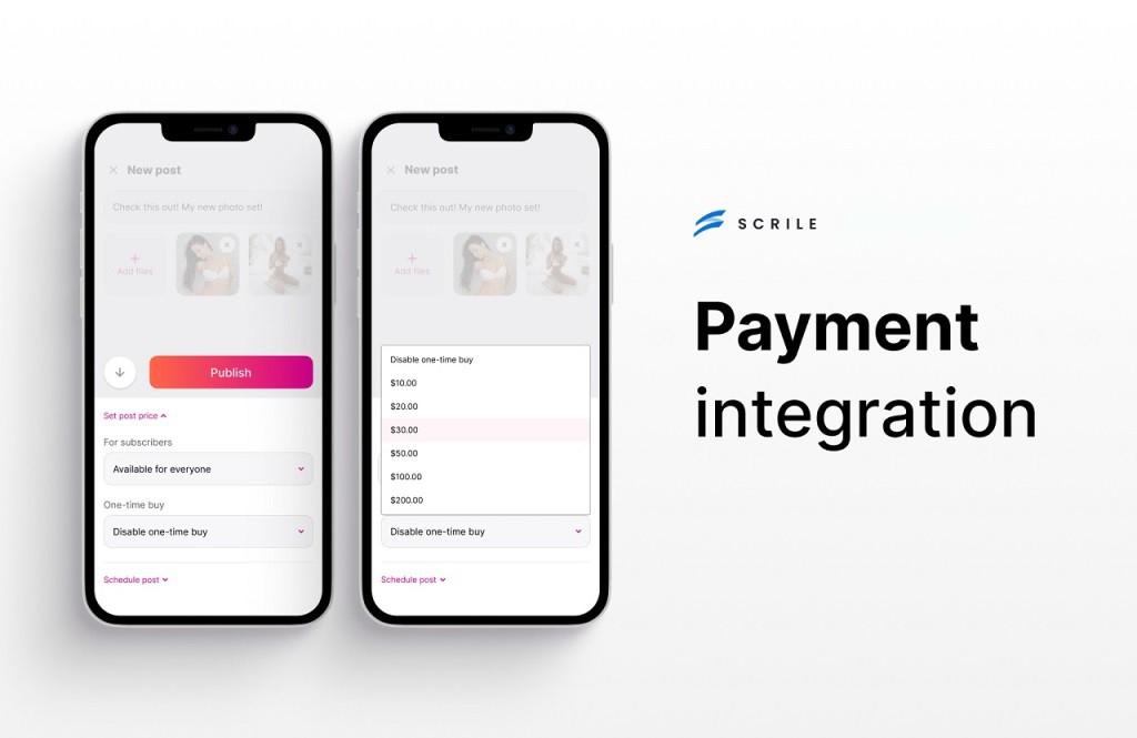 Scrile Custom Developement Services for Accepting Crypto payments